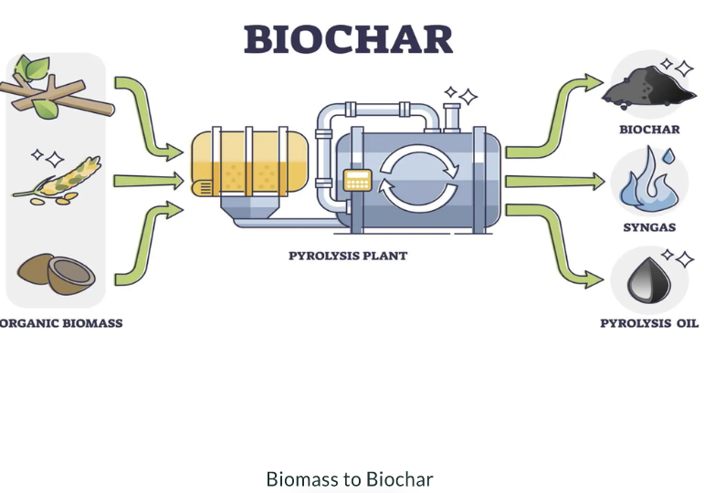 biochar
