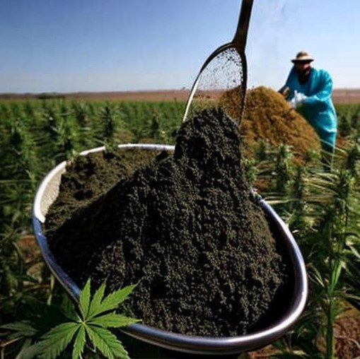 plant-based-concrete